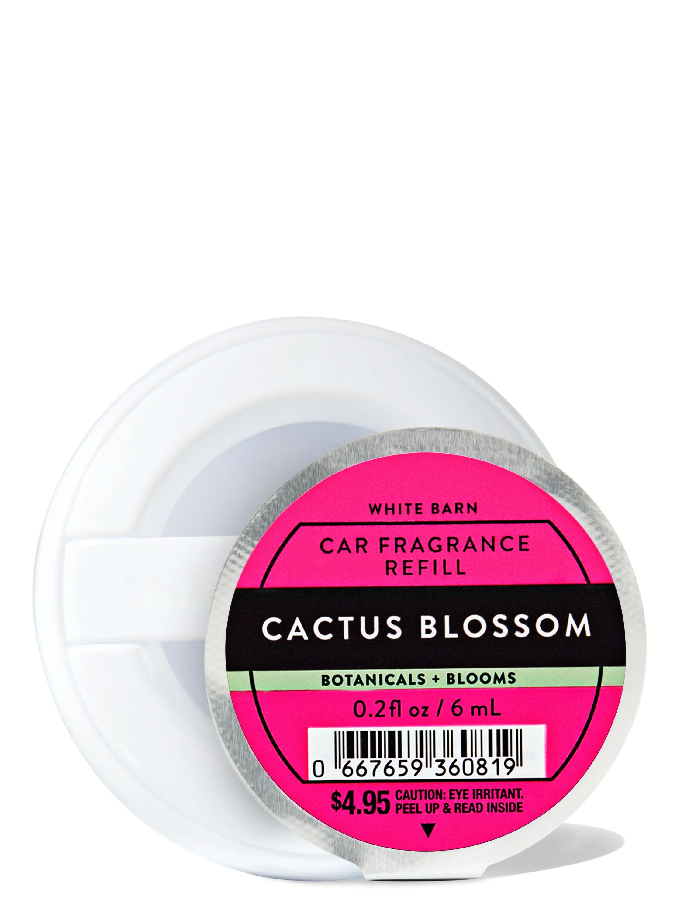 Cactus Blossom