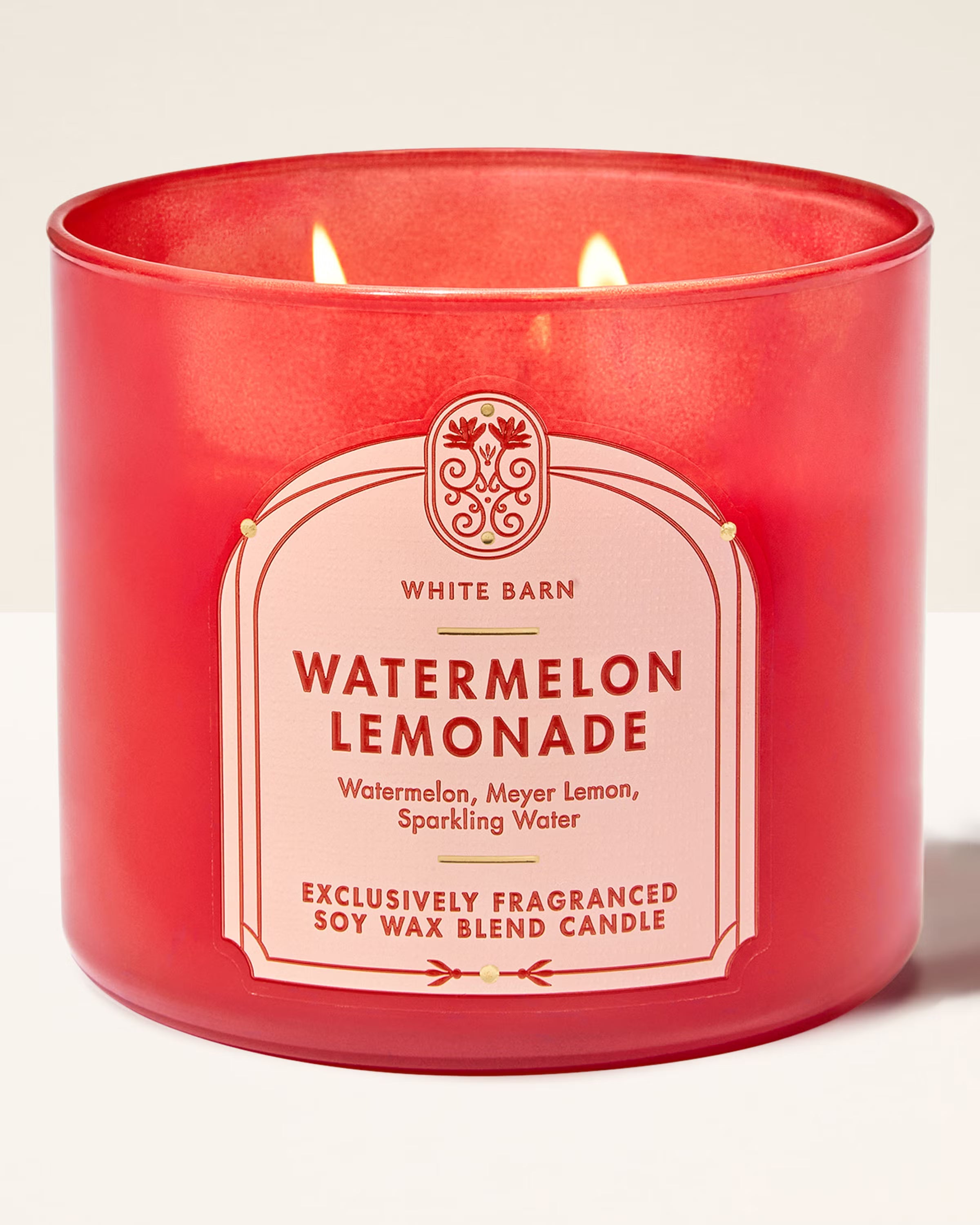 Watermelon Lemonade