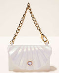Shell Snapcase