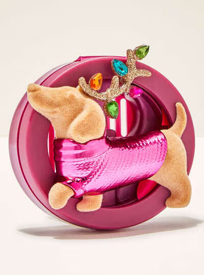 Dachshund