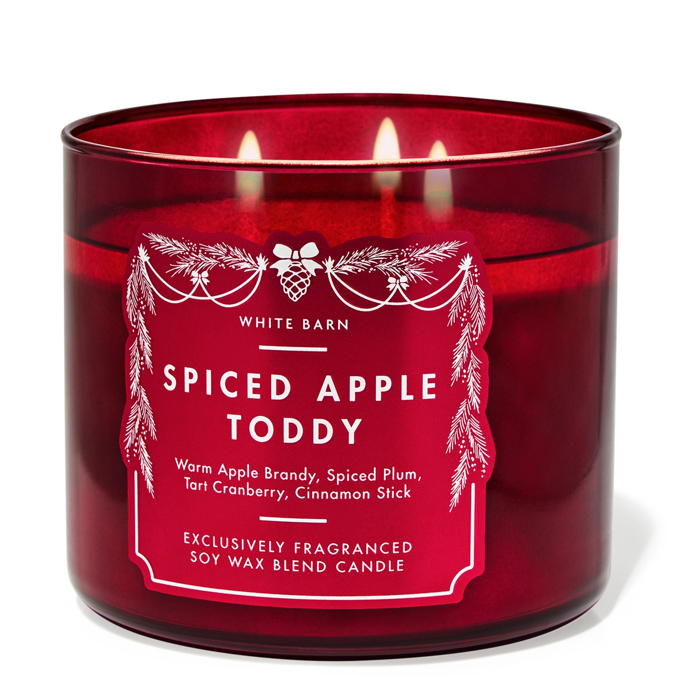 Spiced Apple Toddy