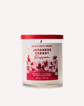 Japanese Cherry Blossom